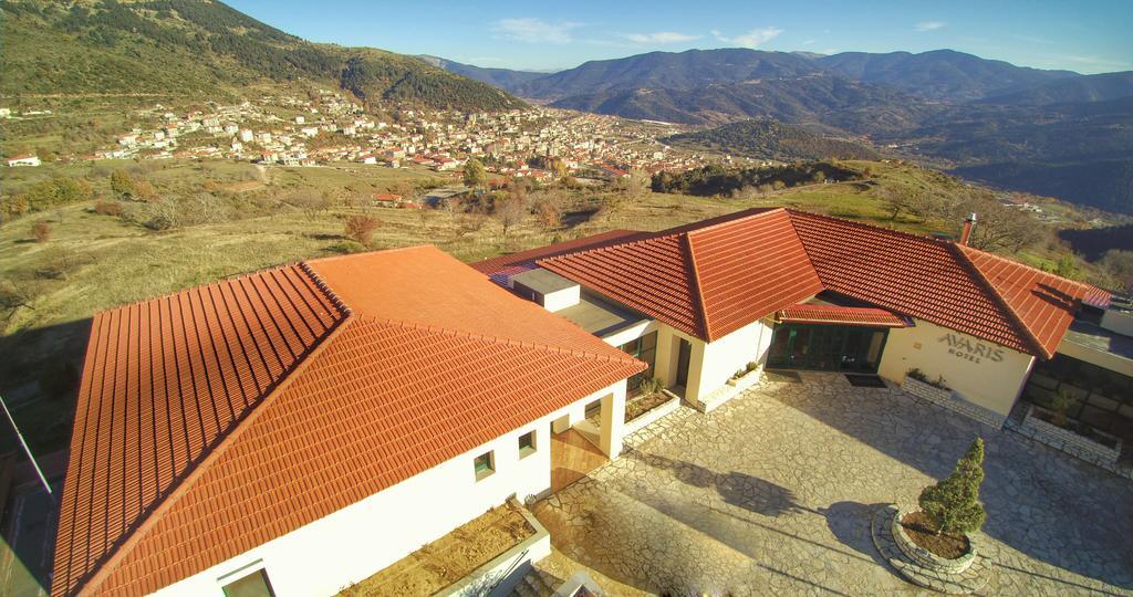 Avaris Hotel Karpenisi Luaran gambar